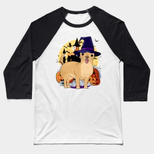 Chihuahua Scary Dog Halloween Witch Pumpkin Baseball T-Shirt